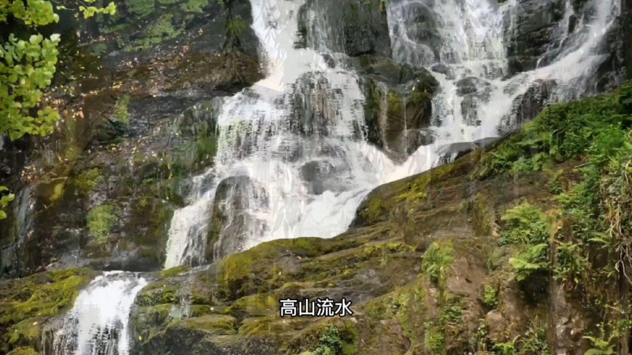 长城、长安成泰国首批获得ev3.5政策的汽车品牌